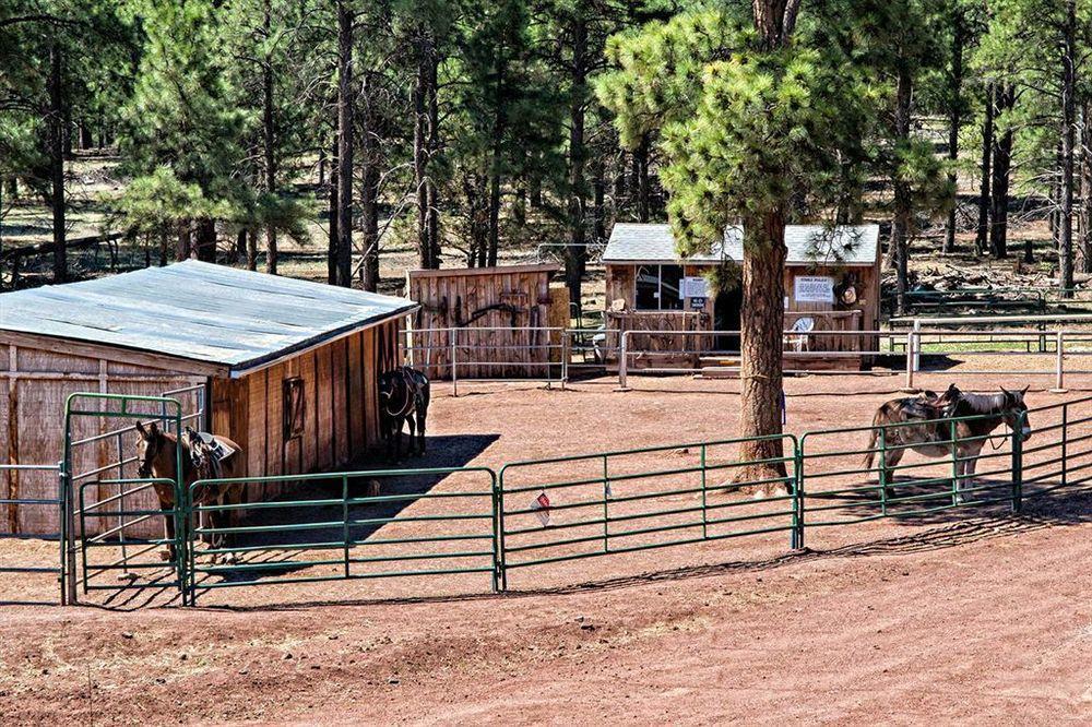 Mountain Ranch Resort At Beacon Hill Williams Exterior photo